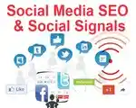 Social Media Signals